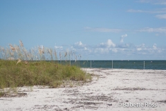 Gulf Coast, Fl