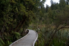 Fox Glacier, Lake Matheson