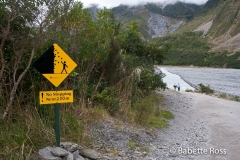 Fox Glacier - Stick Figures in Peril