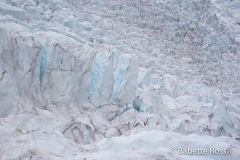 Franz Josef Glacier Heli Hike