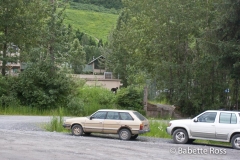 Black Bear Visting