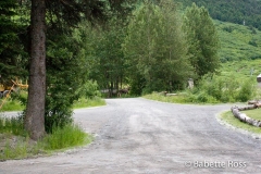 Moose Crossing