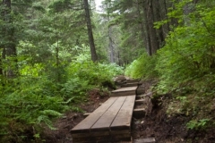Girdwood Trail