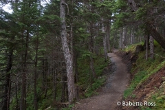 Girdwood Trail