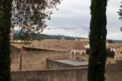 Roof Tiles
