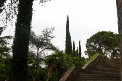 Path Upstairs