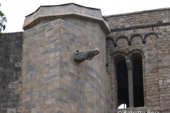 Gargoyle