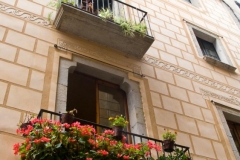 Flowers on the Balcony