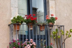 Balcony Full of Flowers