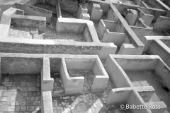 Alcazar Maze