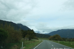 between Fox Glacier & Haast