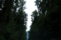 Between Bruce Bay & Haast