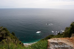 Between Bruce Bay & Haast