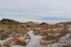 Ship Creek Point