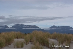 Haast