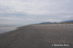 Haast