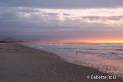 Haast Beach Sunset