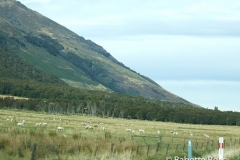 Between Haast Pass & Wanaka