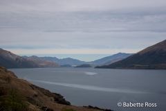 Between Haast Pass & Wanaka