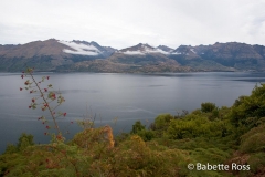 Between Haast Pass & Wanaka