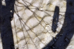 Bike Shadow