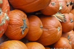 20071006_03