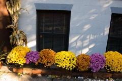 20081026_07