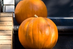 20081026_08