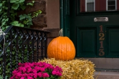 20101026_007