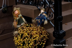 20101026_044