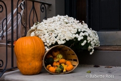 20101026_064
