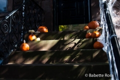 20121021_015