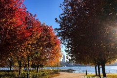 20151030_004
