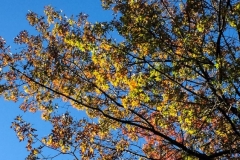 20161105_001