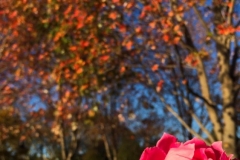 20161111_001