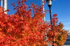 20181031_008