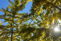 20181031_009