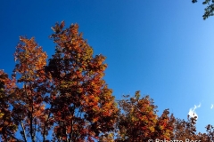 20181122_001