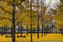 20191110_001