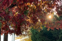 20201108_001