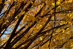 20201109_003