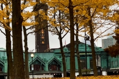 20201111_001