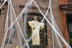 20101026_054
