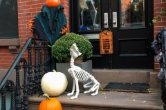 20181016_001