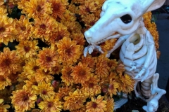 20181030_014