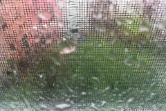 20170505_001