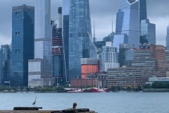 Heron on the Hudson