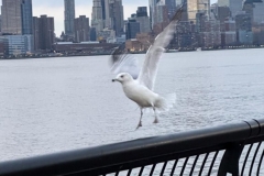 20230324_001