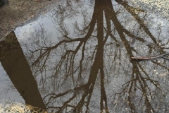 20150327_001