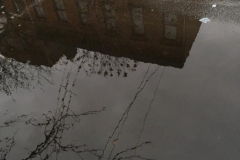 {"focusMode":2,"deviceTilt":0.1918143471095224,"whiteBalanceProgram":0,"macroEnabled":false,"qualityMode":3}